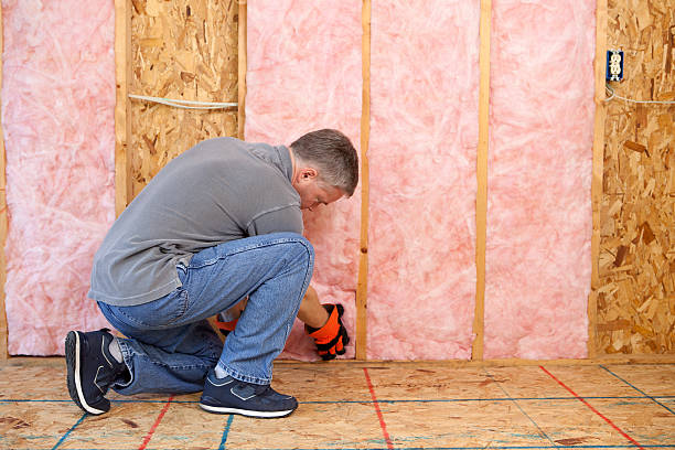 Best Specialized Insulation Services in Capitol Heights, MD