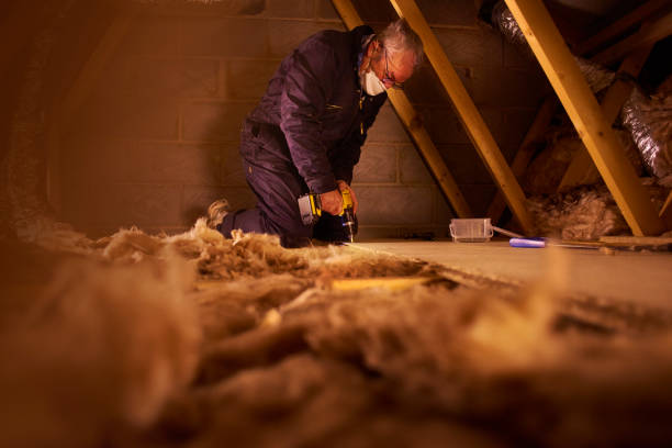 Best Cellulose Insulation in Capitol Heights, MD